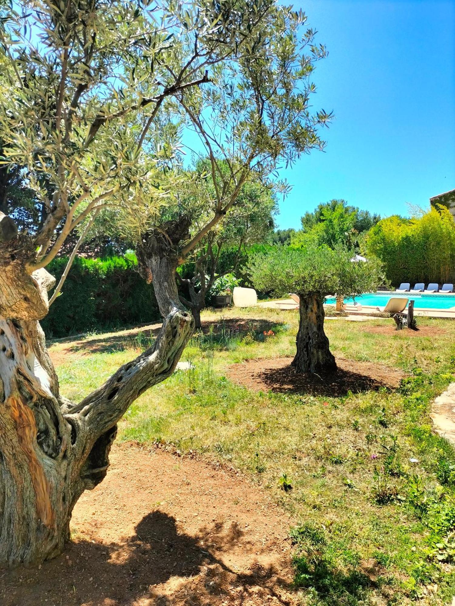 Vacances Carnoux-en-Provence Zewnętrze zdjęcie
